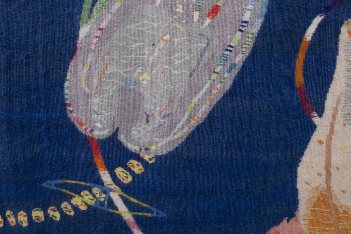 To marine dyr: tunikaten og kammaneten. 