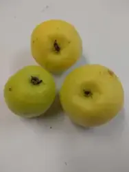 Äpple