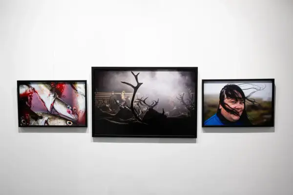 Frigjøring og Gjenreisning utstilling