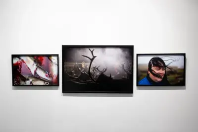 Frigjøring og Gjenreisning utstilling