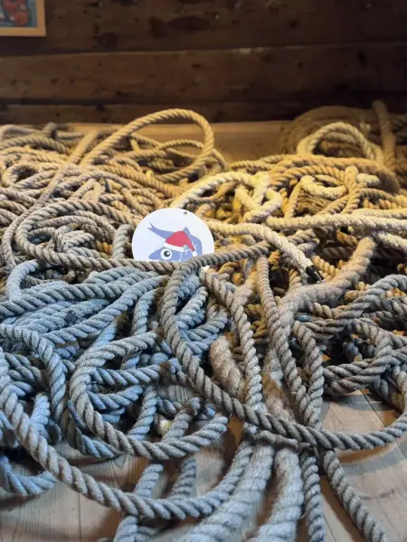 Silja Sild har gjemt seg i en taukveil