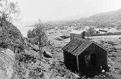 Et bolighus og et fjøs. Et uthus i forgrunnen.