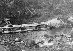 Elv, bro, veske, skog.