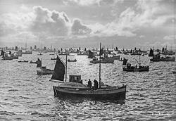 Lofotfiske, fiskeskøyter, havlandskap.