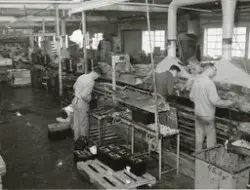 Startbatterilinan. Tudor i Nol  runt 1960.