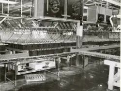 Laddningssalen. Tudor i Nol  runt 1960.