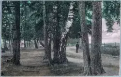 Postkort, Hamar, Ridehusstranda, Storhamarstranda, Strandpro