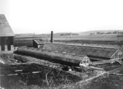Omberg gartneri, ved Isdammen, Rolvsøy ca. 1950. Omberggårde