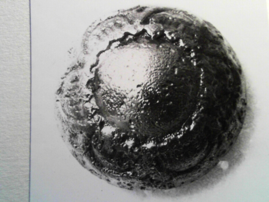 tinn ?. rund. hvelvet overflate. dekorert med 4-bladrose. støpt. hempen borte. høyde med hempe 0,7.