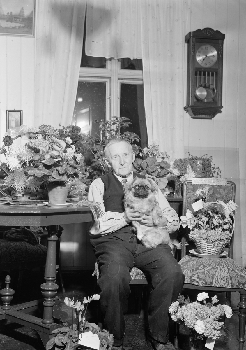 Monsen, 75års-jubileum