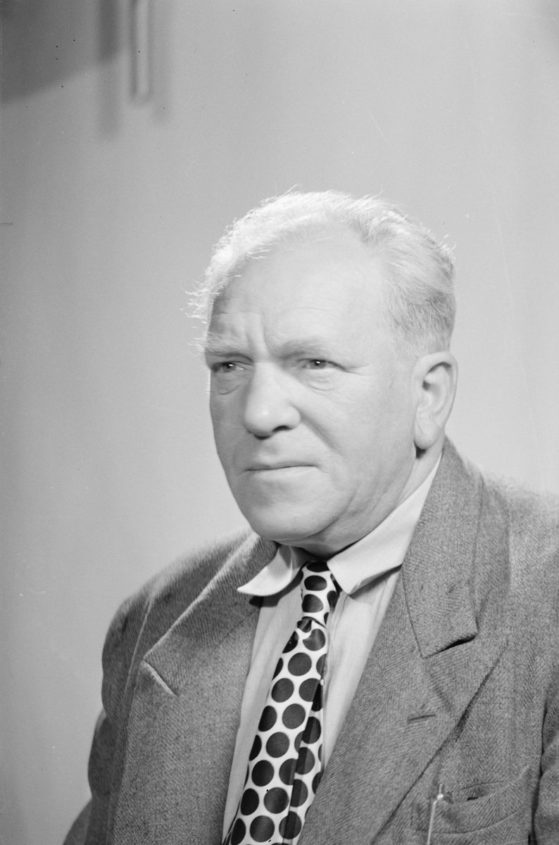 Sivilforsvaret, passbilder. 4 barnebilder 