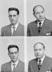 Avdelingsbestyrer v/Samvirkelagene