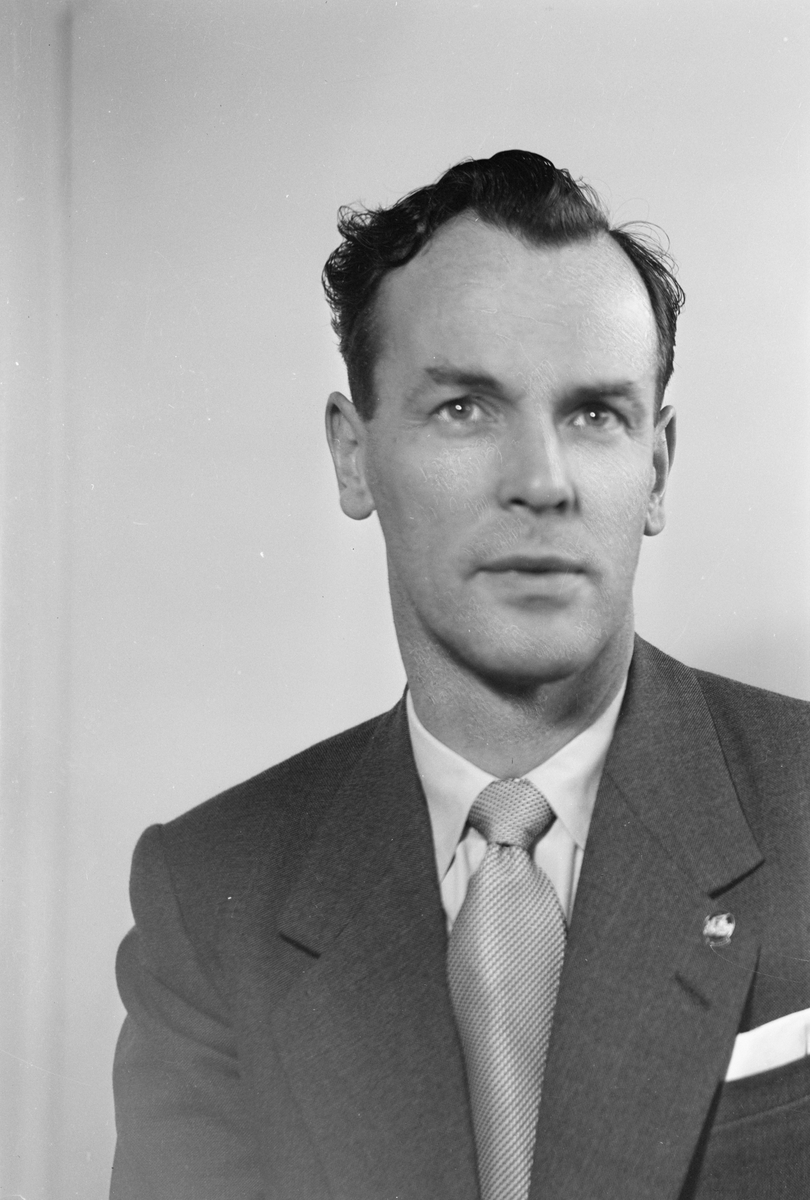 Avdelingsbestyrer v/Samvirkelagene