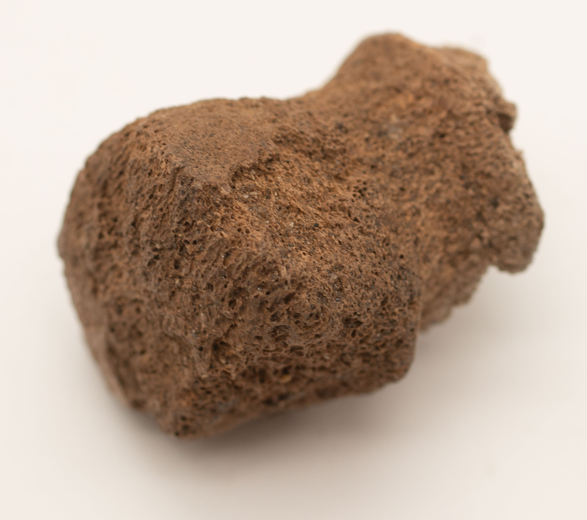 Ett rikt boplatsmaterial från mellanneolitikum. Materialet utgörs av:
Avslag och spånfragment, 202 st
Avslagsskrapa, 3 st
Dolkfragmeent, 1 st
Dubbelskrapa, 1 st
Keramik, mynning, dekorerad. 17 st
Keramik, buk dekorerad, 25 st
Keramik, buk, 27 st
Knacksten, 3 st
Knackstensfragment, 1 st
Kärna, 12 st
Malstensfragment, 1 st
Mikrospån, 1 st
Spånkärna, fragment, 8 st
Spånkärna, cylindrisk, 15 st
Spånpilspets, 7 st
Spånskrapor, 22 st
Sticklar, 4 st
Yxfragment bergart, 3 st
Yxfragment flinta, 9 st.
Slipsten, stor, 1 st

Benmaterial:
Fisk: tonfisk, torsk, lyrtorsk, gråsej, vitling, långa
Havsdäggdjur: Vitnosdelfin, tumlare, vikare, knubbsäl, gråsäl, grönlandssäl
Landvilt: älg, kronhjort, brunbjörn, bäver, hund/varg, vildsvin/tamgris
Tamdjur: nötkreatur, hund/varg, vildsvin/tamgris

Övrigt:
Mollusker, 2 askar
Kolprov, 1 ask