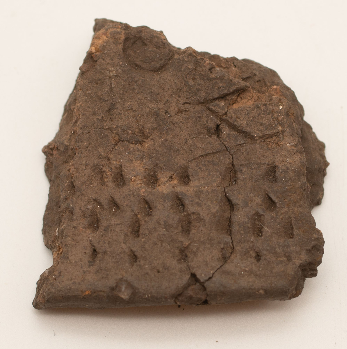 En större mängd (uppskattninsgvis ca 1000 stycken) ytplockade keramikskärvor. Skärvorna har i de flesta fall dekor. Dekoren består av streck, zig-zag mönster och intryckta gropar. Små pinnar och ben har framför allt använts för att skapa dekoren. I de fall det funnits passning har keramiken limmats ihop.