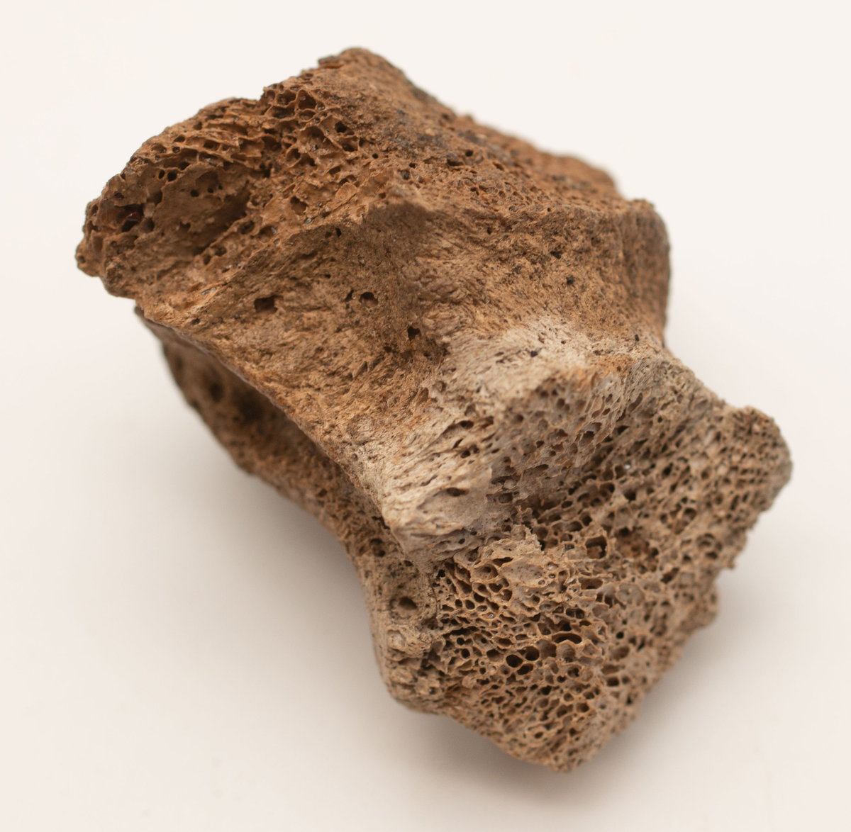 Ett rikt boplatsmaterial från mellanneolitikum. Materialet utgörs av:
Avslag och spånfragment, 202 st
Avslagsskrapa, 3 st
Dolkfragmeent, 1 st
Dubbelskrapa, 1 st
Keramik, mynning, dekorerad. 17 st
Keramik, buk dekorerad, 25 st
Keramik, buk, 27 st
Knacksten, 3 st
Knackstensfragment, 1 st
Kärna, 12 st
Malstensfragment, 1 st
Mikrospån, 1 st
Spånkärna, fragment, 8 st
Spånkärna, cylindrisk, 15 st
Spånpilspets, 7 st
Spånskrapor, 22 st
Sticklar, 4 st
Yxfragment bergart, 3 st
Yxfragment flinta, 9 st.
Slipsten, stor, 1 st

Benmaterial:
Fisk: tonfisk, torsk, lyrtorsk, gråsej, vitling, långa
Havsdäggdjur: Vitnosdelfin, tumlare, vikare, knubbsäl, gråsäl, grönlandssäl
Landvilt: älg, kronhjort, brunbjörn, bäver, hund/varg, vildsvin/tamgris
Tamdjur: nötkreatur, hund/varg, vildsvin/tamgris

Övrigt:
Mollusker, 2 askar
Kolprov, 1 ask