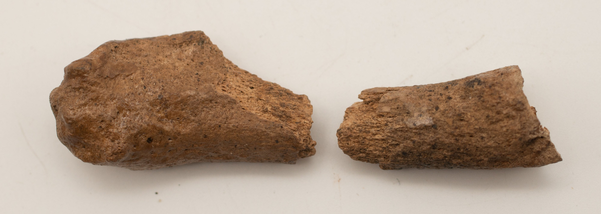 Ett rikt boplatsmaterial från mellanneolitikum. Materialet utgörs av:
Avslag och spånfragment, 202 st
Avslagsskrapa, 3 st
Dolkfragmeent, 1 st
Dubbelskrapa, 1 st
Keramik, mynning, dekorerad. 17 st
Keramik, buk dekorerad, 25 st
Keramik, buk, 27 st
Knacksten, 3 st
Knackstensfragment, 1 st
Kärna, 12 st
Malstensfragment, 1 st
Mikrospån, 1 st
Spånkärna, fragment, 8 st
Spånkärna, cylindrisk, 15 st
Spånpilspets, 7 st
Spånskrapor, 22 st
Sticklar, 4 st
Yxfragment bergart, 3 st
Yxfragment flinta, 9 st.
Slipsten, stor, 1 st

Benmaterial:
Fisk: tonfisk, torsk, lyrtorsk, gråsej, vitling, långa
Havsdäggdjur: Vitnosdelfin, tumlare, vikare, knubbsäl, gråsäl, grönlandssäl
Landvilt: älg, kronhjort, brunbjörn, bäver, hund/varg, vildsvin/tamgris
Tamdjur: nötkreatur, hund/varg, vildsvin/tamgris

Övrigt:
Mollusker, 2 askar
Kolprov, 1 ask