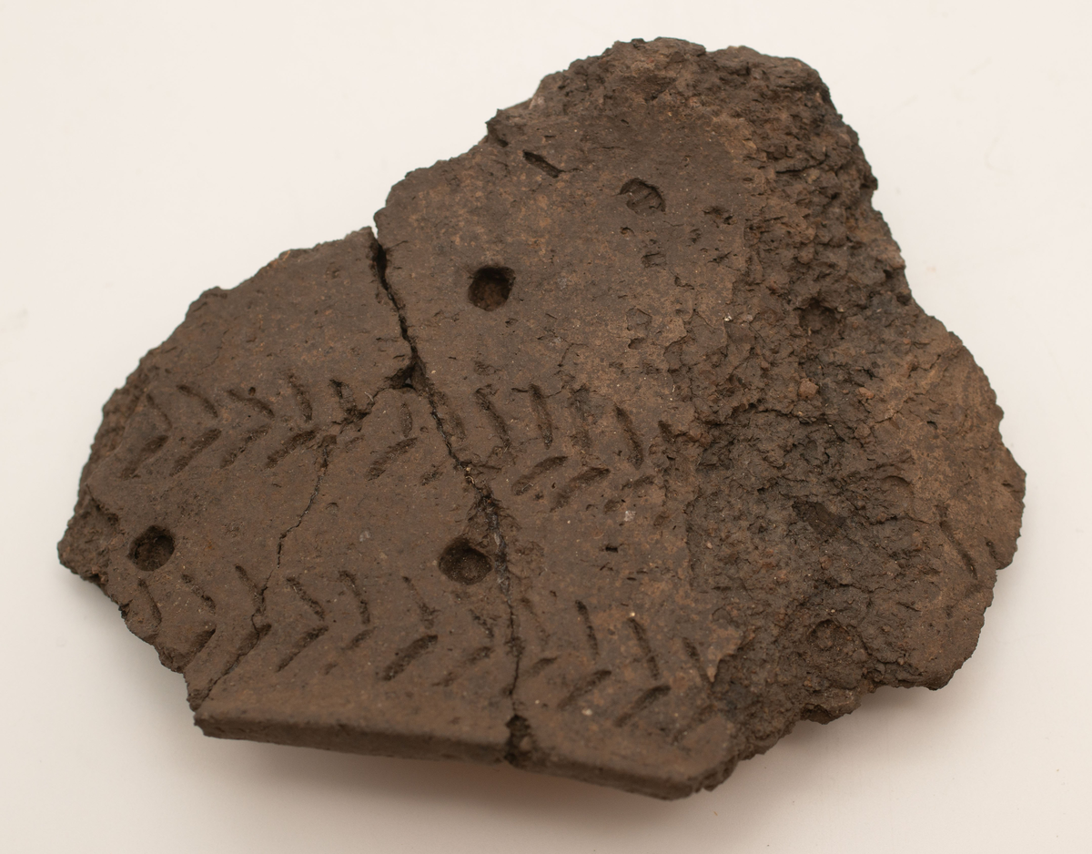 En större mängd (uppskattninsgvis ca 1000 stycken) ytplockade keramikskärvor. Skärvorna har i de flesta fall dekor. Dekoren består av streck, zig-zag mönster och intryckta gropar. Små pinnar och ben har framför allt använts för att skapa dekoren. I de fall det funnits passning har keramiken limmats ihop.