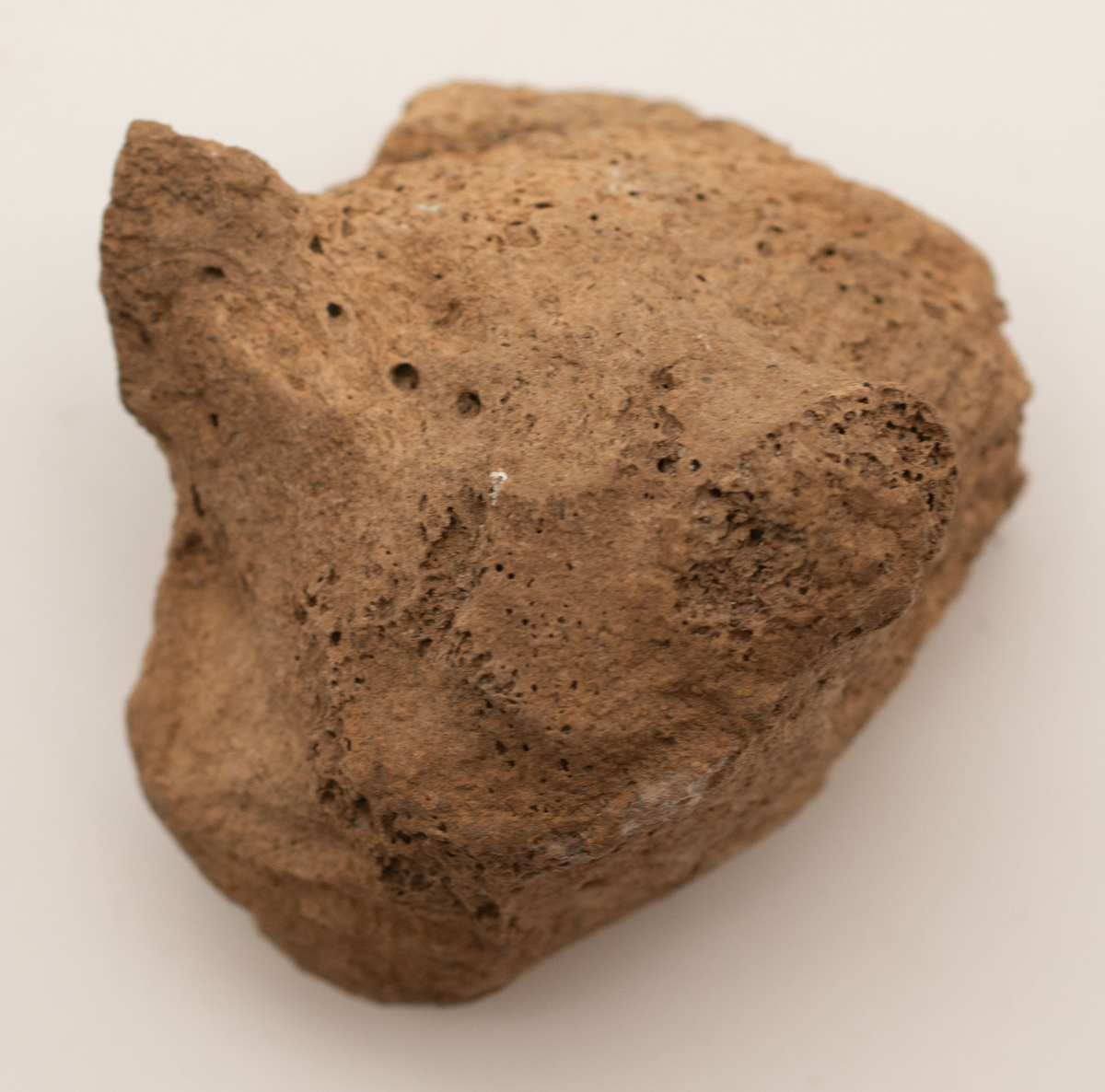 Ett rikt boplatsmaterial från mellanneolitikum. Materialet utgörs av:
Avslag och spånfragment, 202 st
Avslagsskrapa, 3 st
Dolkfragmeent, 1 st
Dubbelskrapa, 1 st
Keramik, mynning, dekorerad. 17 st
Keramik, buk dekorerad, 25 st
Keramik, buk, 27 st
Knacksten, 3 st
Knackstensfragment, 1 st
Kärna, 12 st
Malstensfragment, 1 st
Mikrospån, 1 st
Spånkärna, fragment, 8 st
Spånkärna, cylindrisk, 15 st
Spånpilspets, 7 st
Spånskrapor, 22 st
Sticklar, 4 st
Yxfragment bergart, 3 st
Yxfragment flinta, 9 st.
Slipsten, stor, 1 st

Benmaterial:
Fisk: tonfisk, torsk, lyrtorsk, gråsej, vitling, långa
Havsdäggdjur: Vitnosdelfin, tumlare, vikare, knubbsäl, gråsäl, grönlandssäl
Landvilt: älg, kronhjort, brunbjörn, bäver, hund/varg, vildsvin/tamgris
Tamdjur: nötkreatur, hund/varg, vildsvin/tamgris

Övrigt:
Mollusker, 2 askar
Kolprov, 1 ask