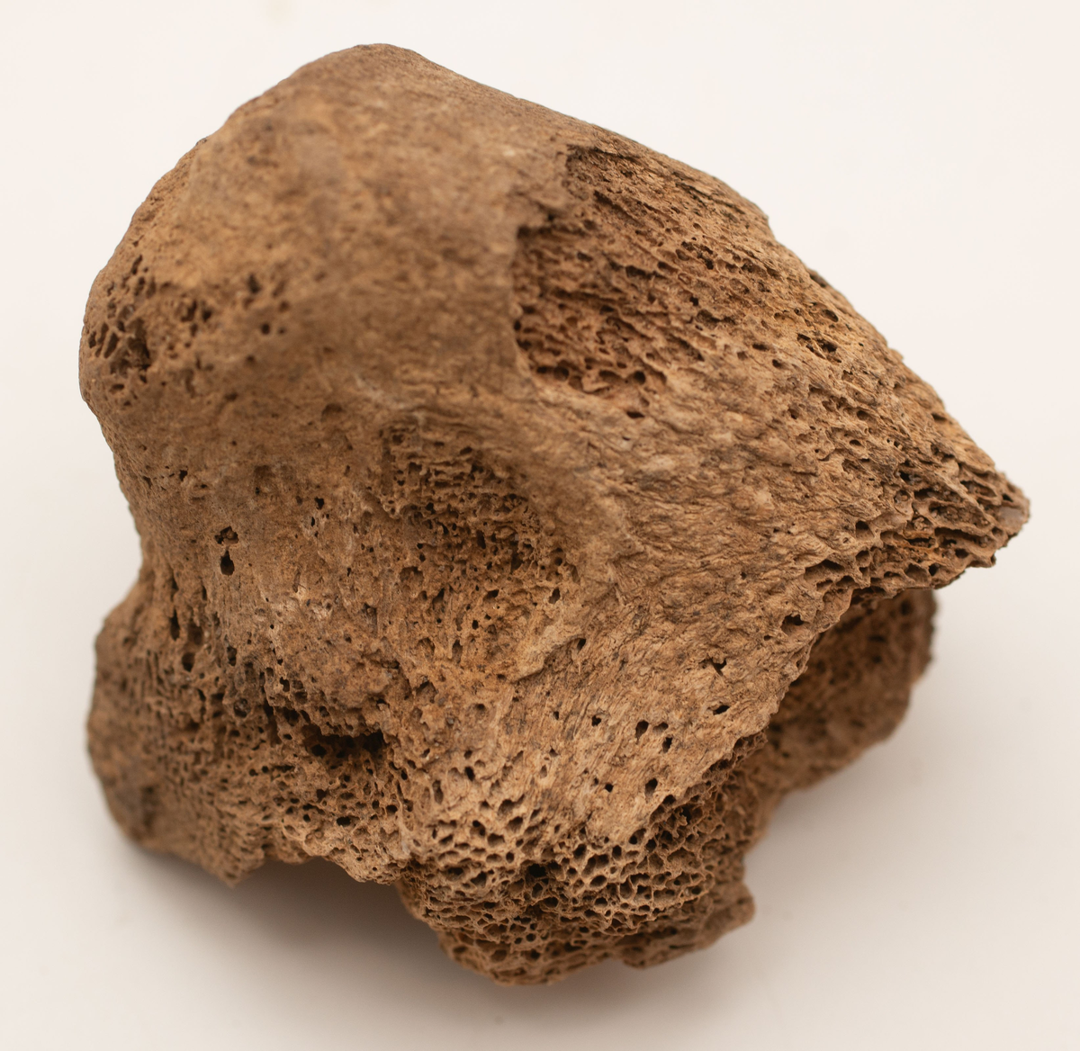 Ett rikt boplatsmaterial från mellanneolitikum. Materialet utgörs av:
Avslag och spånfragment, 202 st
Avslagsskrapa, 3 st
Dolkfragmeent, 1 st
Dubbelskrapa, 1 st
Keramik, mynning, dekorerad. 17 st
Keramik, buk dekorerad, 25 st
Keramik, buk, 27 st
Knacksten, 3 st
Knackstensfragment, 1 st
Kärna, 12 st
Malstensfragment, 1 st
Mikrospån, 1 st
Spånkärna, fragment, 8 st
Spånkärna, cylindrisk, 15 st
Spånpilspets, 7 st
Spånskrapor, 22 st
Sticklar, 4 st
Yxfragment bergart, 3 st
Yxfragment flinta, 9 st.
Slipsten, stor, 1 st

Benmaterial:
Fisk: tonfisk, torsk, lyrtorsk, gråsej, vitling, långa
Havsdäggdjur: Vitnosdelfin, tumlare, vikare, knubbsäl, gråsäl, grönlandssäl
Landvilt: älg, kronhjort, brunbjörn, bäver, hund/varg, vildsvin/tamgris
Tamdjur: nötkreatur, hund/varg, vildsvin/tamgris

Övrigt:
Mollusker, 2 askar
Kolprov, 1 ask