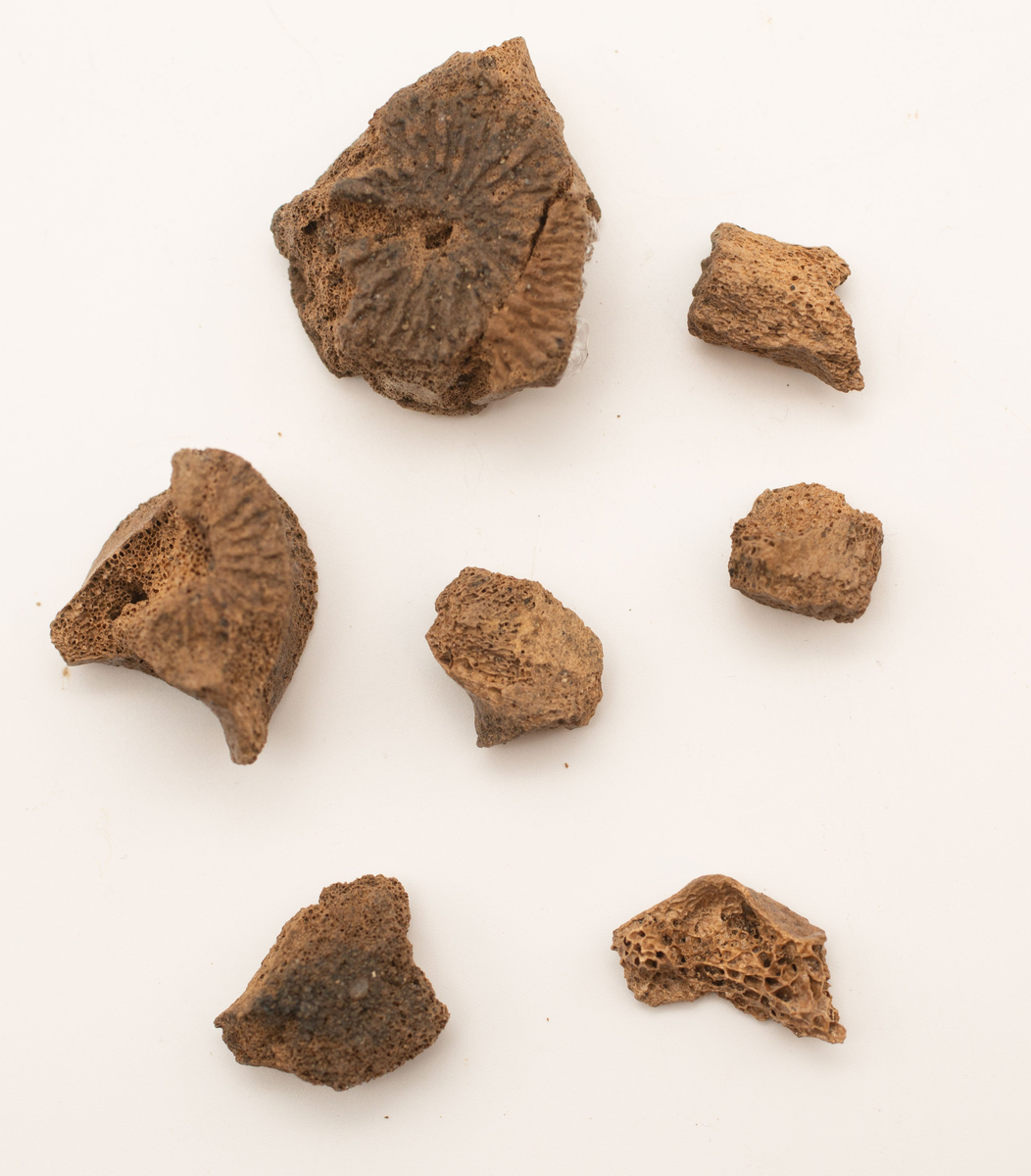 Ett rikt boplatsmaterial från mellanneolitikum. Materialet utgörs av:
Avslag och spånfragment, 202 st
Avslagsskrapa, 3 st
Dolkfragmeent, 1 st
Dubbelskrapa, 1 st
Keramik, mynning, dekorerad. 17 st
Keramik, buk dekorerad, 25 st
Keramik, buk, 27 st
Knacksten, 3 st
Knackstensfragment, 1 st
Kärna, 12 st
Malstensfragment, 1 st
Mikrospån, 1 st
Spånkärna, fragment, 8 st
Spånkärna, cylindrisk, 15 st
Spånpilspets, 7 st
Spånskrapor, 22 st
Sticklar, 4 st
Yxfragment bergart, 3 st
Yxfragment flinta, 9 st.
Slipsten, stor, 1 st

Benmaterial:
Fisk: tonfisk, torsk, lyrtorsk, gråsej, vitling, långa
Havsdäggdjur: Vitnosdelfin, tumlare, vikare, knubbsäl, gråsäl, grönlandssäl
Landvilt: älg, kronhjort, brunbjörn, bäver, hund/varg, vildsvin/tamgris
Tamdjur: nötkreatur, hund/varg, vildsvin/tamgris

Övrigt:
Mollusker, 2 askar
Kolprov, 1 ask