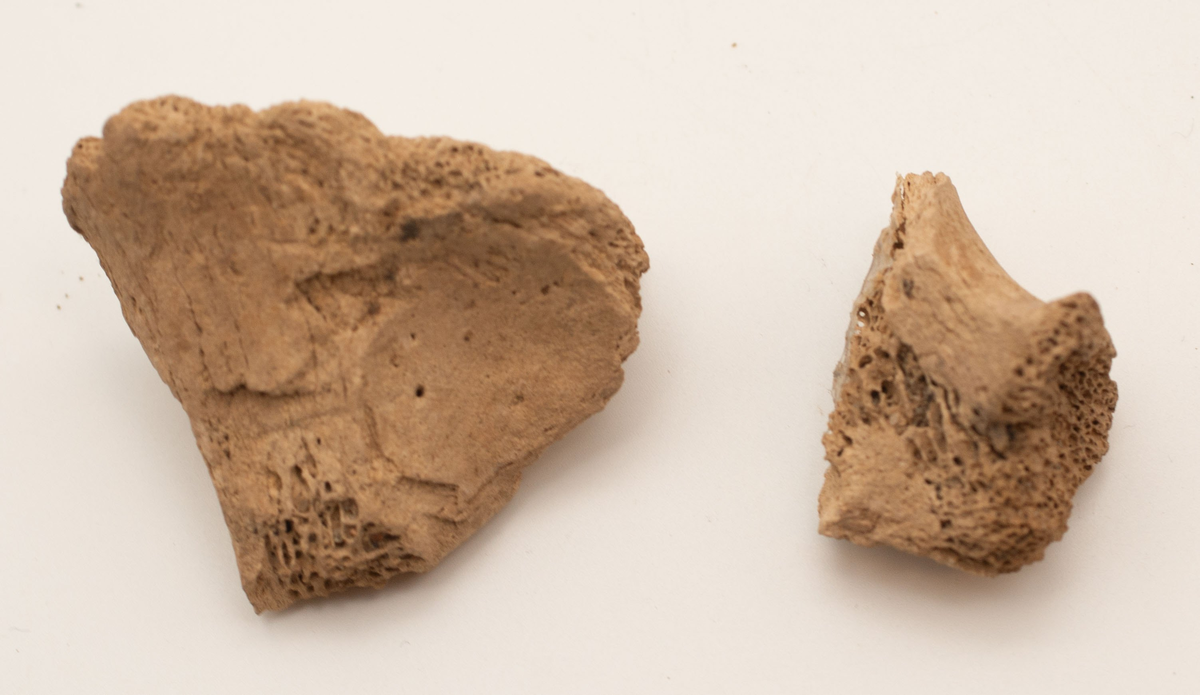 Ett rikt boplatsmaterial från mellanneolitikum. Materialet utgörs av:
Avslag och spånfragment, 202 st
Avslagsskrapa, 3 st
Dolkfragmeent, 1 st
Dubbelskrapa, 1 st
Keramik, mynning, dekorerad. 17 st
Keramik, buk dekorerad, 25 st
Keramik, buk, 27 st
Knacksten, 3 st
Knackstensfragment, 1 st
Kärna, 12 st
Malstensfragment, 1 st
Mikrospån, 1 st
Spånkärna, fragment, 8 st
Spånkärna, cylindrisk, 15 st
Spånpilspets, 7 st
Spånskrapor, 22 st
Sticklar, 4 st
Yxfragment bergart, 3 st
Yxfragment flinta, 9 st.
Slipsten, stor, 1 st

Benmaterial:
Fisk: tonfisk, torsk, lyrtorsk, gråsej, vitling, långa
Havsdäggdjur: Vitnosdelfin, tumlare, vikare, knubbsäl, gråsäl, grönlandssäl
Landvilt: älg, kronhjort, brunbjörn, bäver, hund/varg, vildsvin/tamgris
Tamdjur: nötkreatur, hund/varg, vildsvin/tamgris

Övrigt:
Mollusker, 2 askar
Kolprov, 1 ask