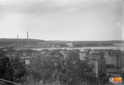 okänt utsocknes sågverk.
Brädgården vid Skönviks sågverk i T