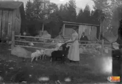 Okända människor står på gården, möjligen en fäbodvall?