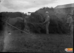 Höbärgning, Såsarv, Annefors. Männen på bild kan vara Walle 