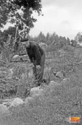 Okänd man i basker och glasögon, inspekterar något i marken.