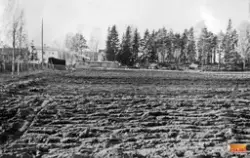 13/10 1945
En del skog nedhuggen och matbodar uppmonteras.
