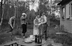 "1955"."Hjå Tollås på Aureholmen" .Ved hytta "Tollbu".