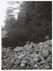 Vänersnäs, Grytet, gravfält