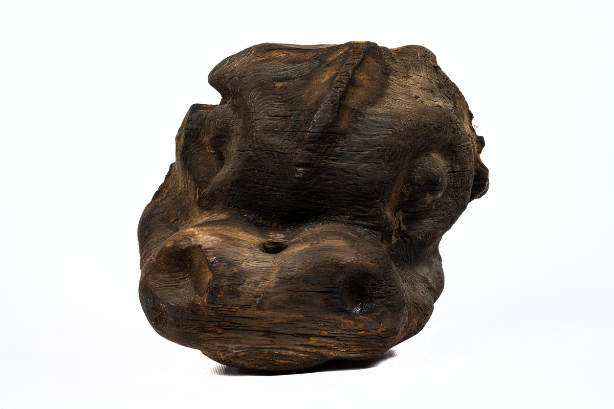 Noshörningshuvud, delfin? Upptaget från vraket efter riksäpplet (Dalarö) 1956 av djupdykarkurs från Stockholms örlogsvarv, ledare löjtnant Bo Cassel.