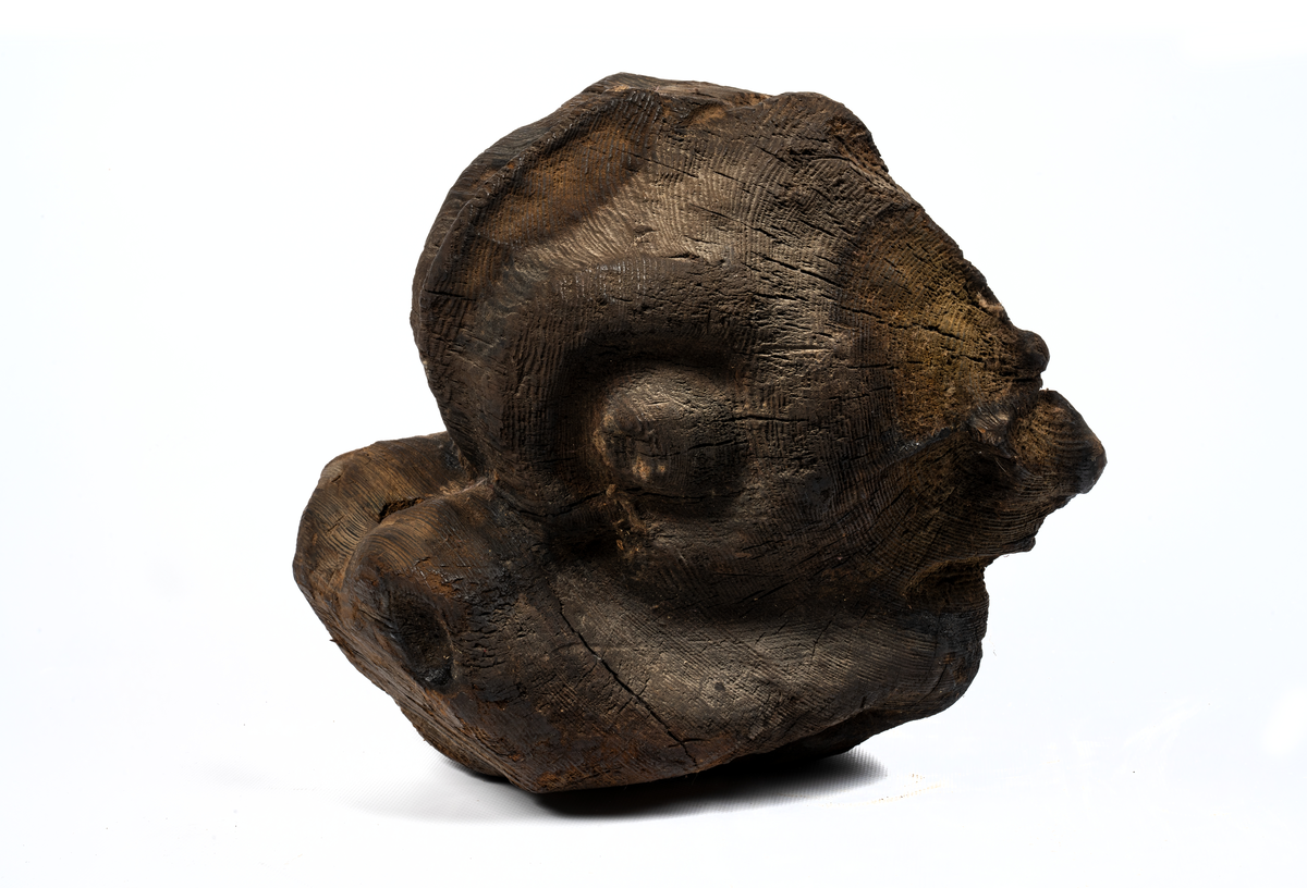 Noshörningshuvud, delfin? Upptaget från vraket efter riksäpplet (Dalarö) 1956 av djupdykarkurs från Stockholms örlogsvarv, ledare löjtnant Bo Cassel.