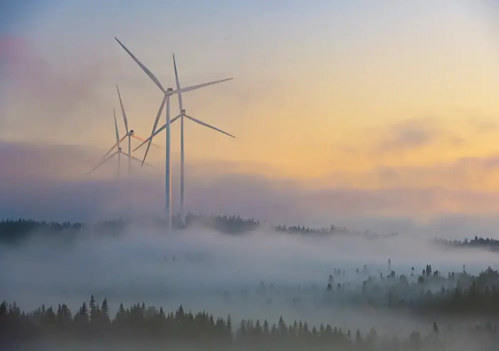 Vindturbiner over en skog. Lav tåke over trærne. 