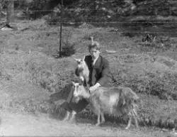 Uidentifiserte bilder fra Marker, Østfold, fotograf Nils Uttersrud,