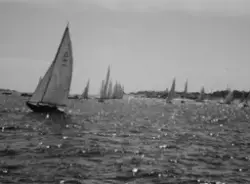 Svenska seglare i USA 1935