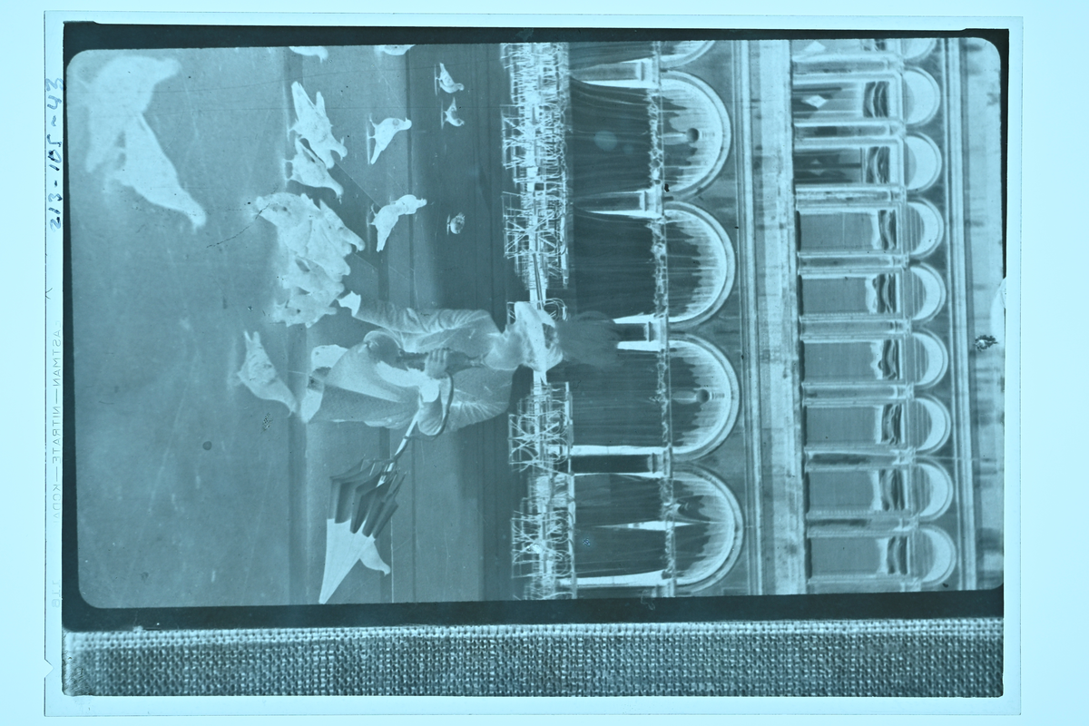 Dam med hatt och paraply matar duvor.