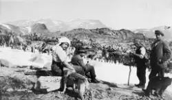 Personer og reinsdyrflokk på fjellet