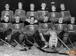 Hälsinglands distriktslag 1950

Knästående från vänster:
1.H