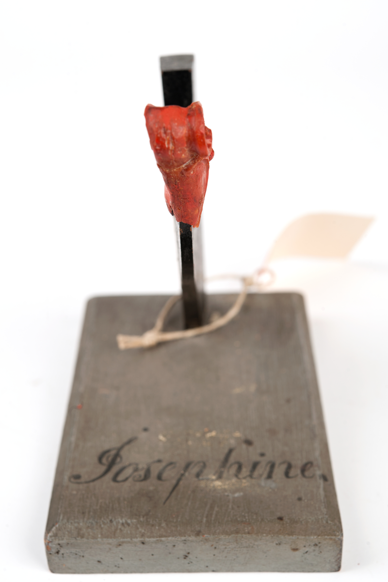 Fregatten JOSEPHINEs galjon. Bilden helt bortfallen men har varit monterad till stävkonstruktion av svartmålat trä, fästad till gråmålad träplatta. Plattan: 150x90 mm. Röd vax, bilden bortfallen.