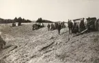 Smålands artilleriregemente, A 6. Grupperingsövning med 7,5 cm kanoner m/1902 på övningsfältet. Foto från 1908.