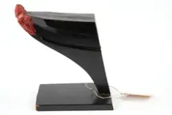 Fartygsornament, galjonsbild