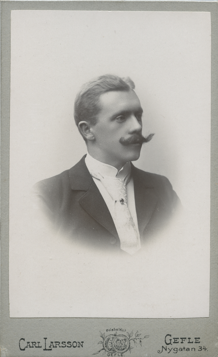 Mansporträtt, 1900.