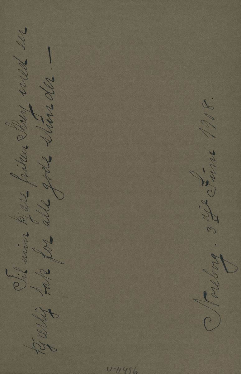 Porträtt av en kvinna och en flicka. Text baksida kort: "Til min kjare fröken Krey med en kjarlig tak for alle gode stunder. Noreborg 3 dje juni 1908".