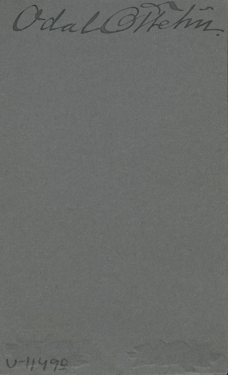 Porträtt av Odal Ottelin.