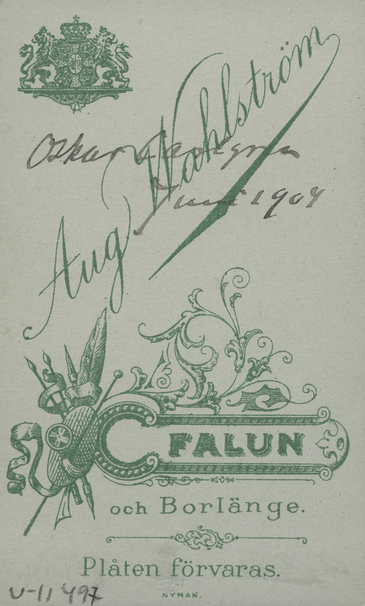 Porträtt av Oskar Carlgren, juni 1904.