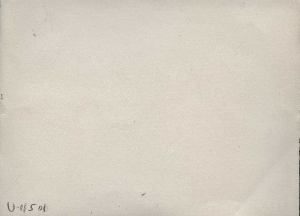 Grupporträtt av kvinnor som sitter i en skogsbacke.