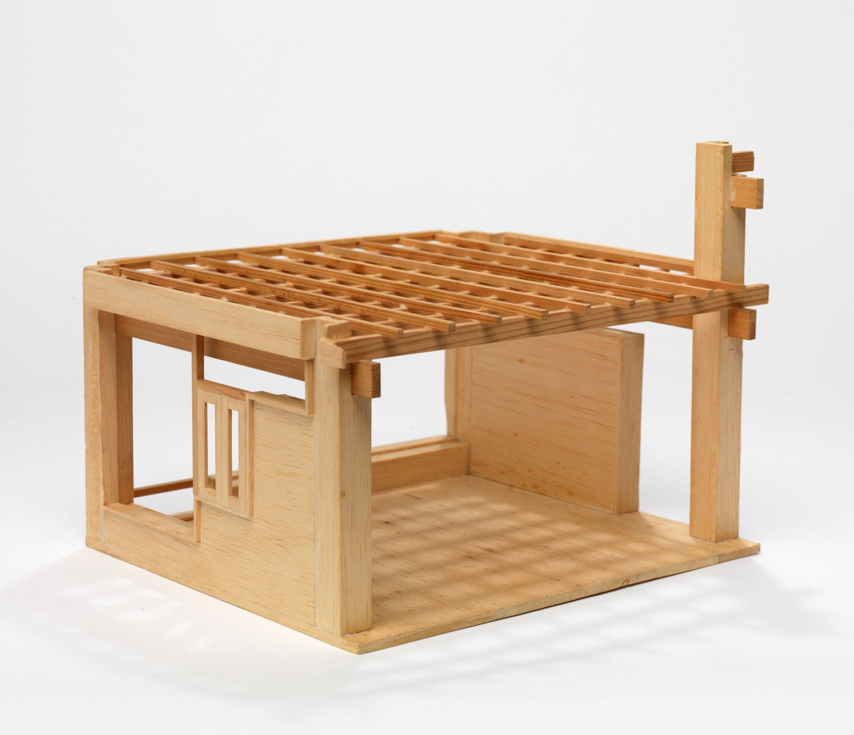 Uidentifisert enebolig [Studiemodell]